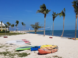 Bayshore Rd beach'in fotoğrafı imkanlar alanı