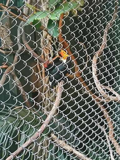 Park «Kirke Park», reviews and photos, 7028 9th Ave NW, Seattle, WA 98117, USA