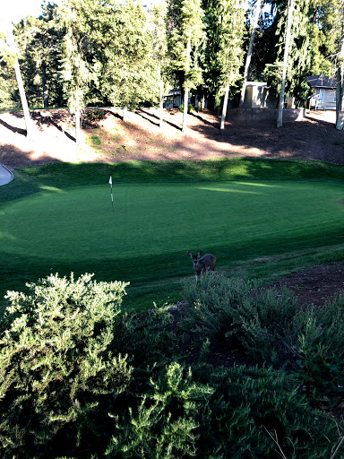 Golf Club «Tilden Park Golf Course», reviews and photos, 10 Golf Course Dr, Berkeley, CA 94708, USA