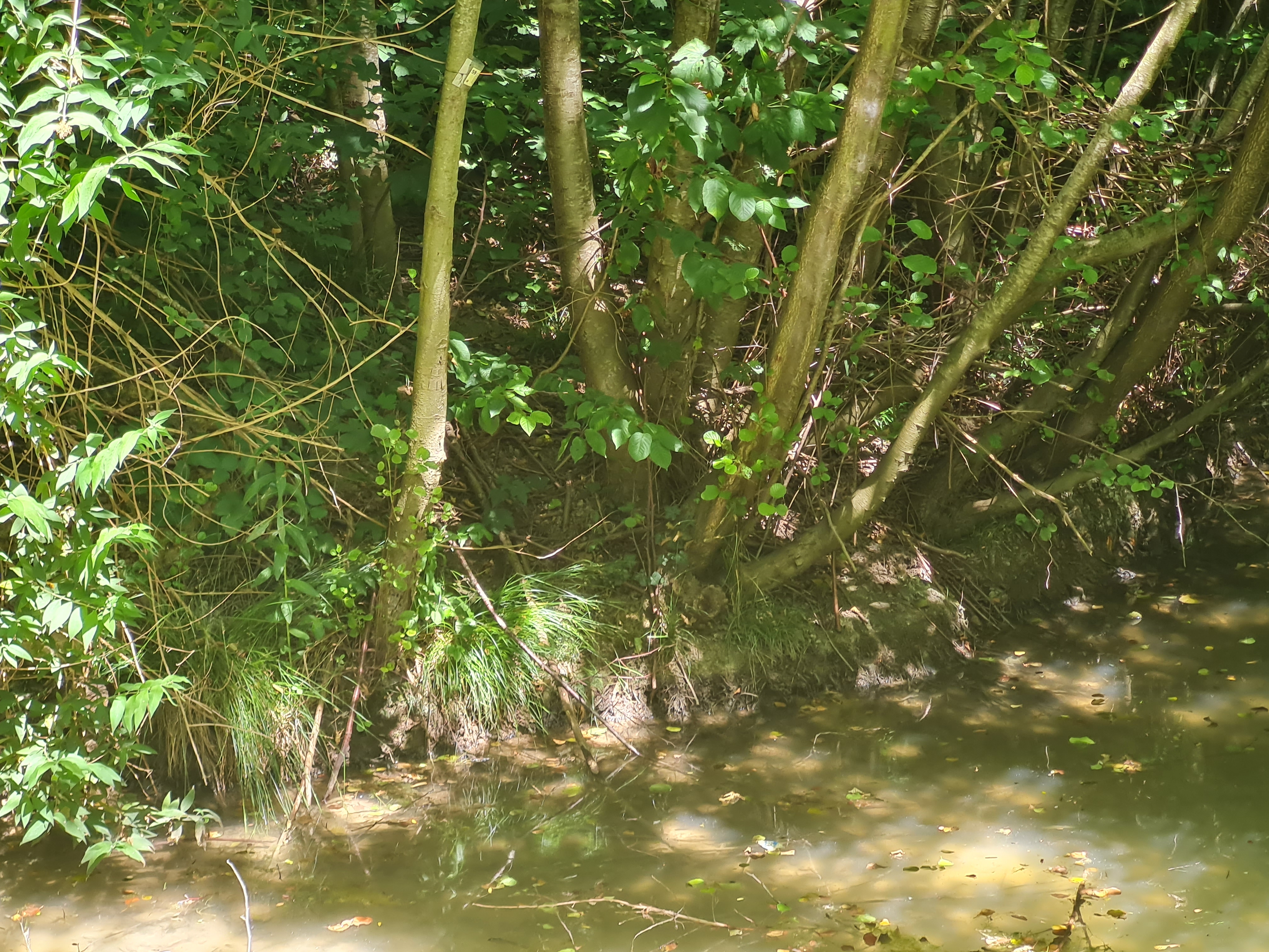 Photo n° 14 de l'avis de Claw.i fait le 15/07/2022 à 14:51