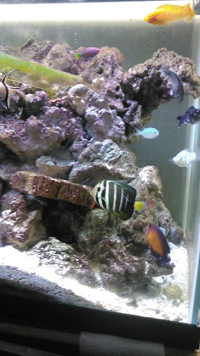 Pet Store «AquaVarium Pets And Supplies», reviews and photos, 95 W Bridge St, Catskill, NY 12414, USA