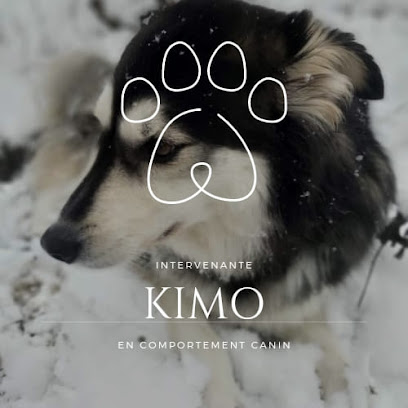Kimo- Intervention en comportement canin