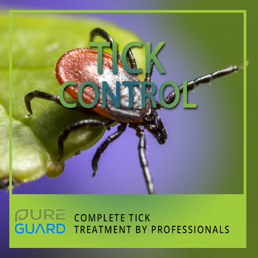 PureGuard Pest Solutions