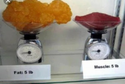 A Toutes Formes - Nutrition à Pithiviers