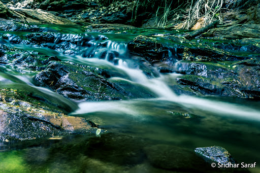 State Park «Patapsco Valley State Park», reviews and photos, 8020 Baltimore National Pike, Ellicott City, MD 21043, USA