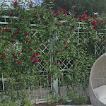 Photo n°8 de l'avis de Yuval.t fait le 04/05/2024 à 15:06 sur le  Relais Sassa Al Sole à Corazzano