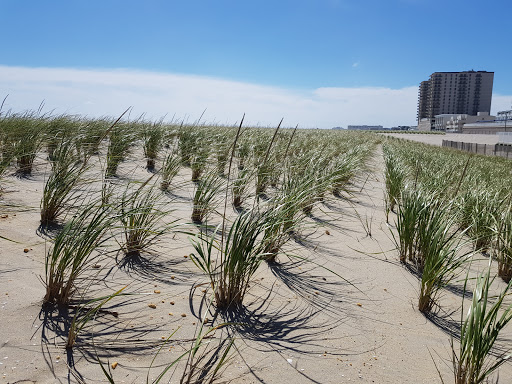 Historical Landmark «Lucy the Elephant», reviews and photos, 9200 Atlantic Ave, Margate City, NJ 08402, USA