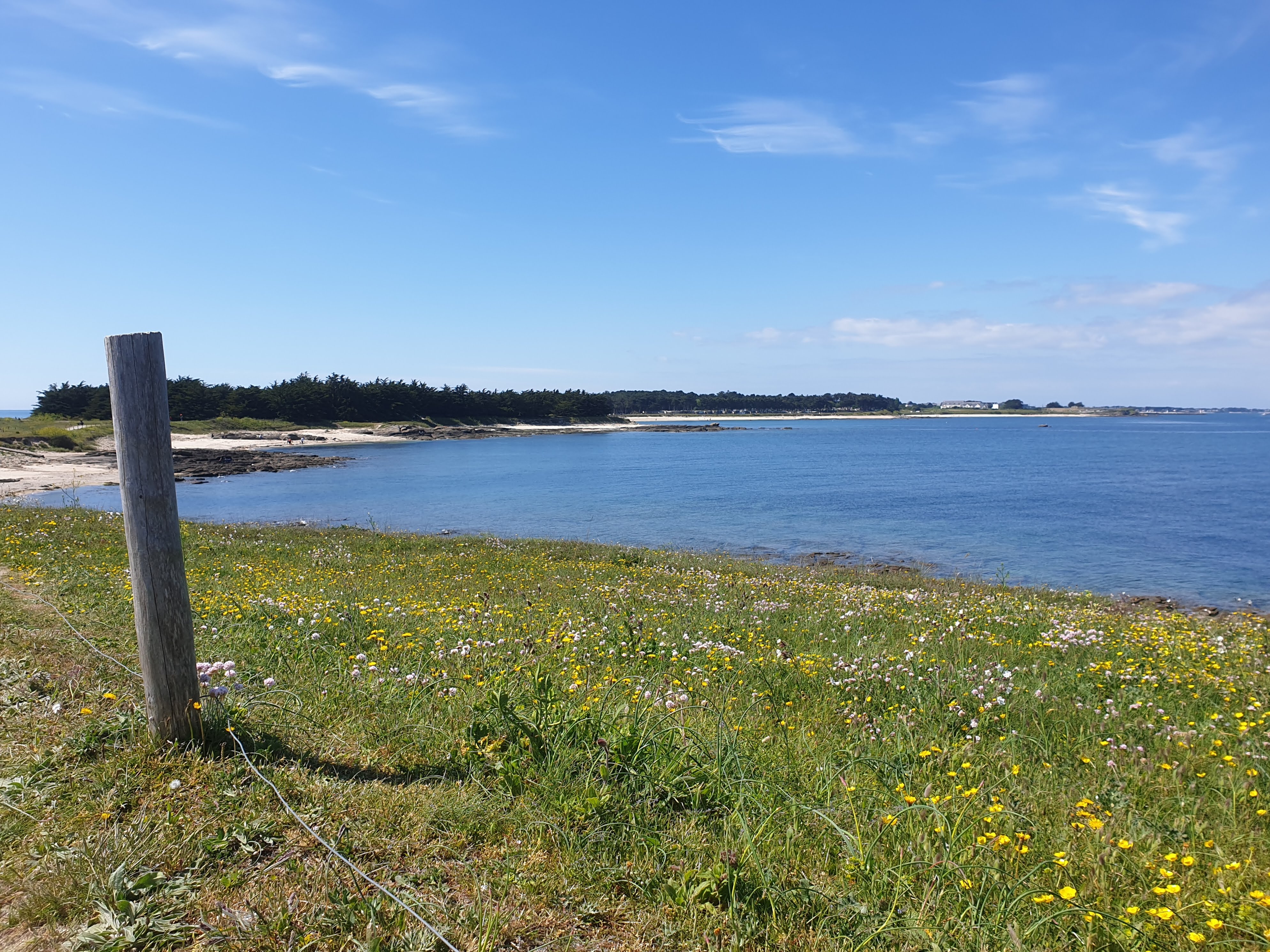 Photo n° 6 de l'avis de Emmanuel.l fait le 29/04/2019 à 16:58