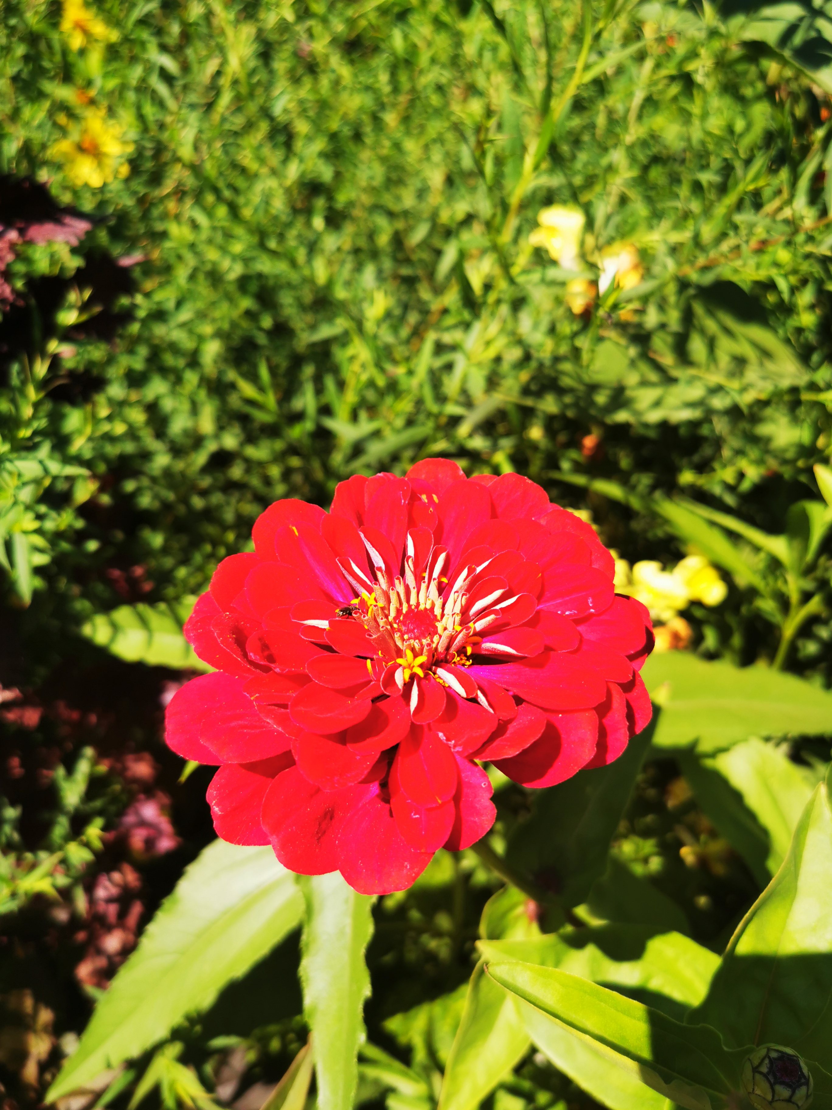 Photo n° 21 de l'avis de ASMA.A fait le 16/08/2022 à 18:29