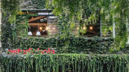 Estudiobola Design and Furniture Alto da Lapa São Paulo SP
