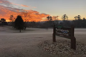 Springbrook Golf & Country Club image