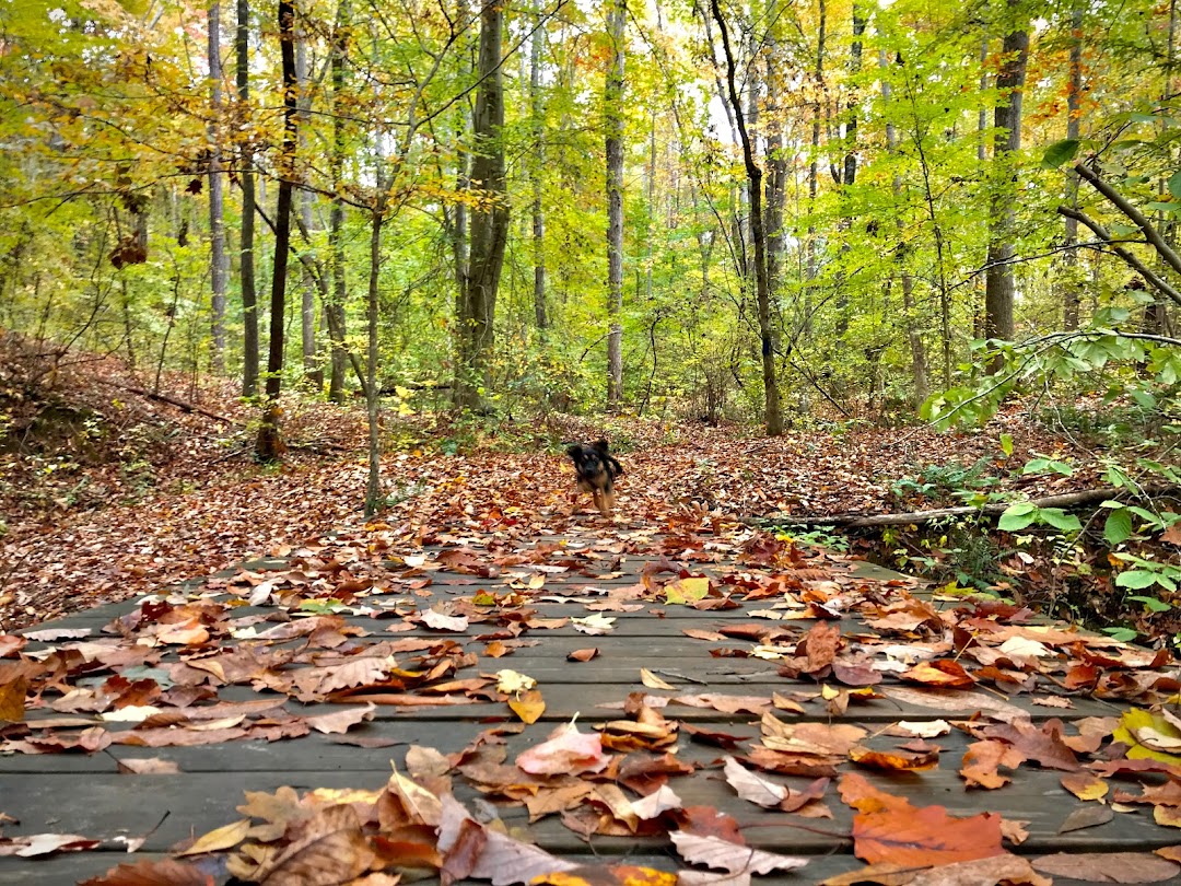 Mt Tabor Park