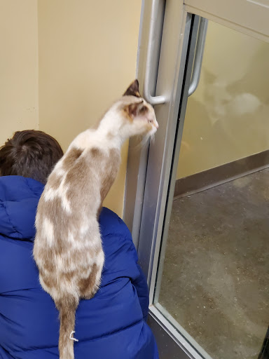 Pet Supply Store «Petco Animal Supplies», reviews and photos, 2824 Long Beach Rd, Oceanside, NY 11572, USA