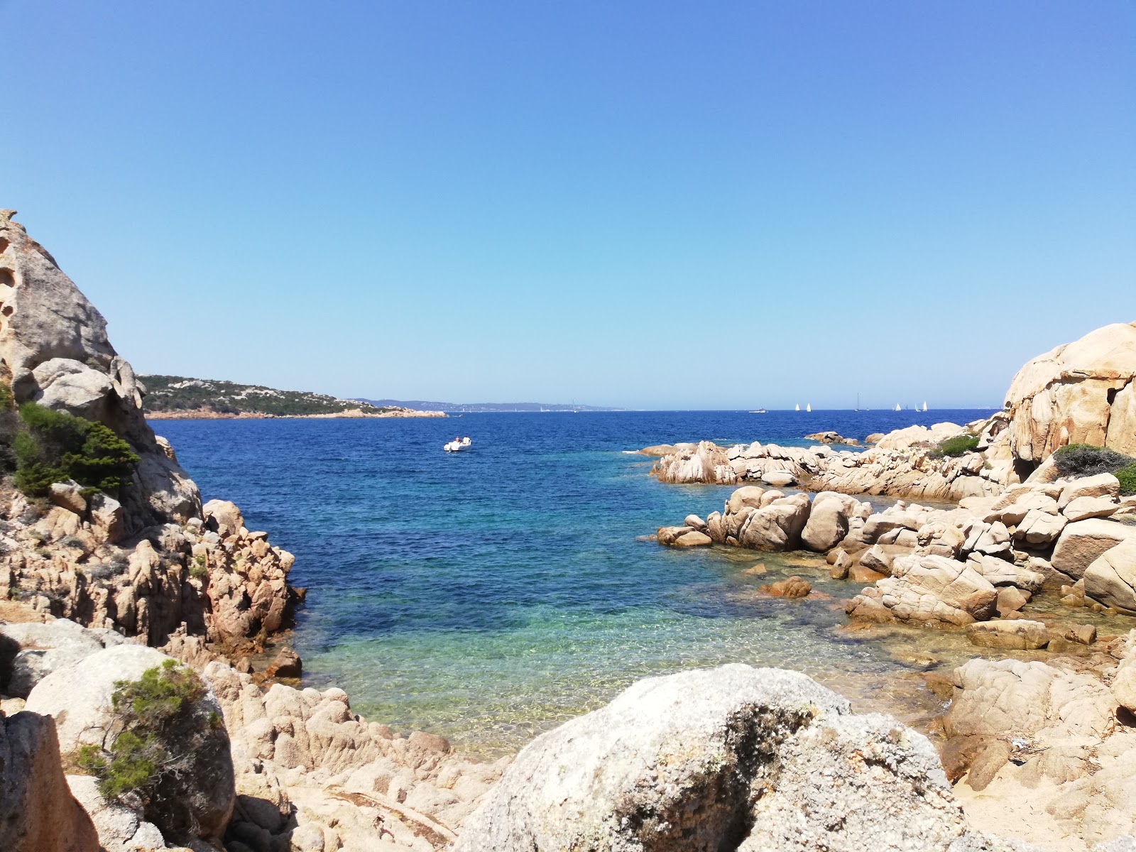 Foto van Spiaggia Della Contessa met blauw puur water oppervlakte