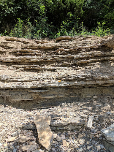 Park «Trammel Fossil Park», reviews and photos, Tramway Dr, Sharonville, OH 45241, USA