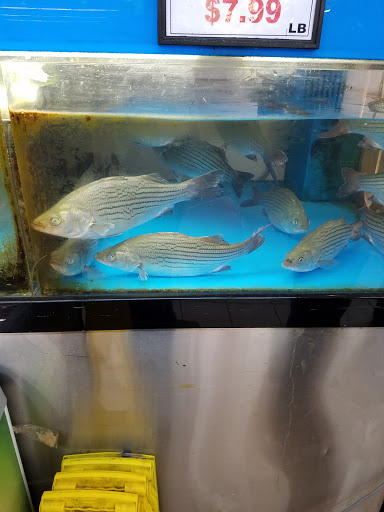 Asian Grocery Store «Asian Food Markets Plainsboro», reviews and photos, 660 Plainsboro Rd, Plainsboro Township, NJ 08536, USA