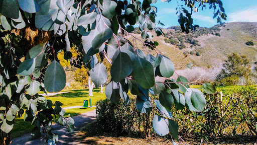 Golf Course «Avila Beach Golf Resort», reviews and photos, 6464 Ana Bay Rd, Avila Beach, CA 93424, USA