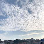 Photo n°1 de l'avis de Maggie.e fait le 04/06/2023 à 21:03 sur le  Peza Arroz à Porto