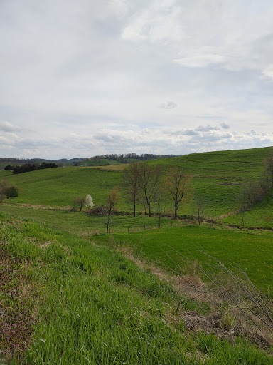 Coffee Shop «New Grounds Cafe», reviews and photos, 2804 OH-39, Walnut Creek, OH 44687, USA