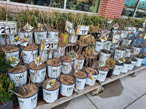 Grocery Store «Market Basket», reviews and photos, 301 Constitution Ave, Littleton, MA 01460, USA