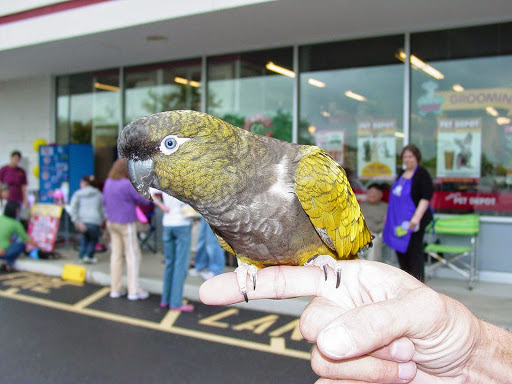 Pet Supply Store «Mellisa’s PET DEPOT», reviews and photos, 83 Faunce Corner Mall Rd, Dartmouth, MA 02747, USA