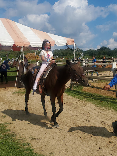 Farm «Alstede Farms», reviews and photos, 1 Alstede Farms Ln, Chester, NJ 07930, USA