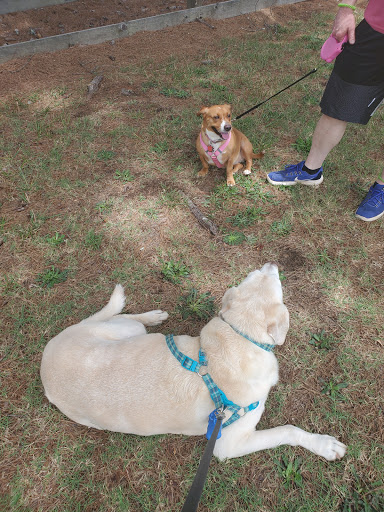 Park «Salem Park», reviews and photos, 1724 GA-155 N, McDonough, GA 30252, USA