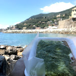Photo n°1 de l'avis de Federico.o fait le 01/06/2019 à 18:30 sur le  Focaccia d'autore à Recco