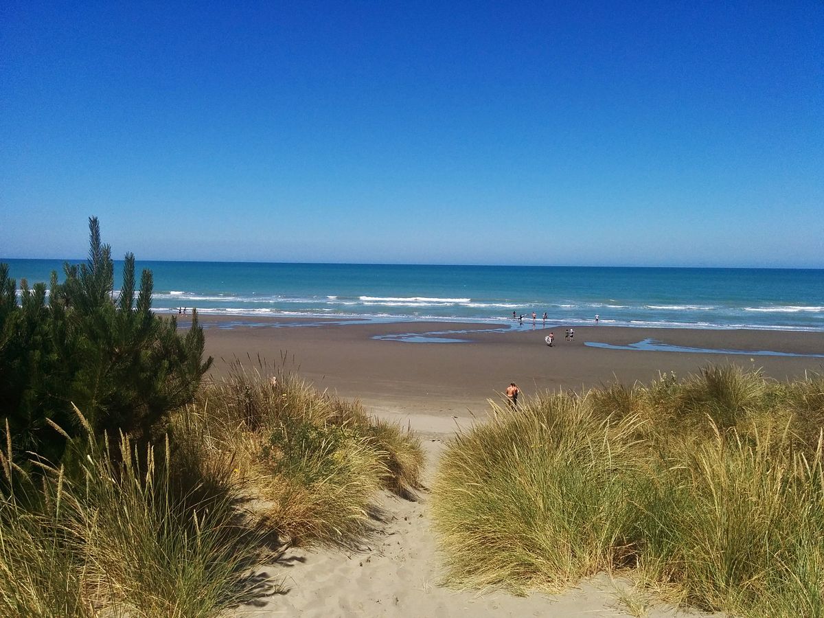 Waikuku Beach'in fotoğrafı imkanlar alanı