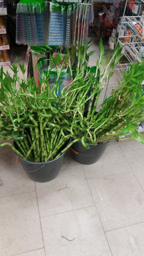 Dollar Store «Discount King», reviews and photos, 2271 Hylan Blvd, Staten Island, NY 10306, USA