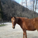 Photo n°19 de l'avis de Sonia.e fait le 28/03/2018 à 22:02 sur le  Agriturismo Pian di Fiume à Bagni di Lucca