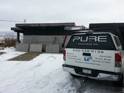 Pure 79 Solutions inc