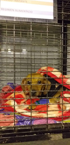 Av. Morro de Arica 8470, 1263385 Antofagasta