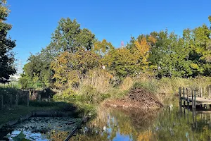 Kiyose Shitajuku Biotope Park image