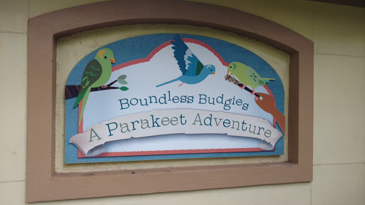 Zoo «Zoo Atlanta», reviews and photos, 800 Cherokee Ave SE, Atlanta, GA 30315, USA