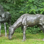 Photo n°4 de l'avis de Sven.i fait le 27/07/2021 à 17:02 sur le  Ostsee-Gutshaus GmbH & Co.KG à Am Salzhaff