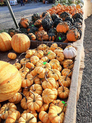 Garden Center «Nalls Produce», reviews and photos, 7310 Beulah St, Alexandria, VA 22315, USA