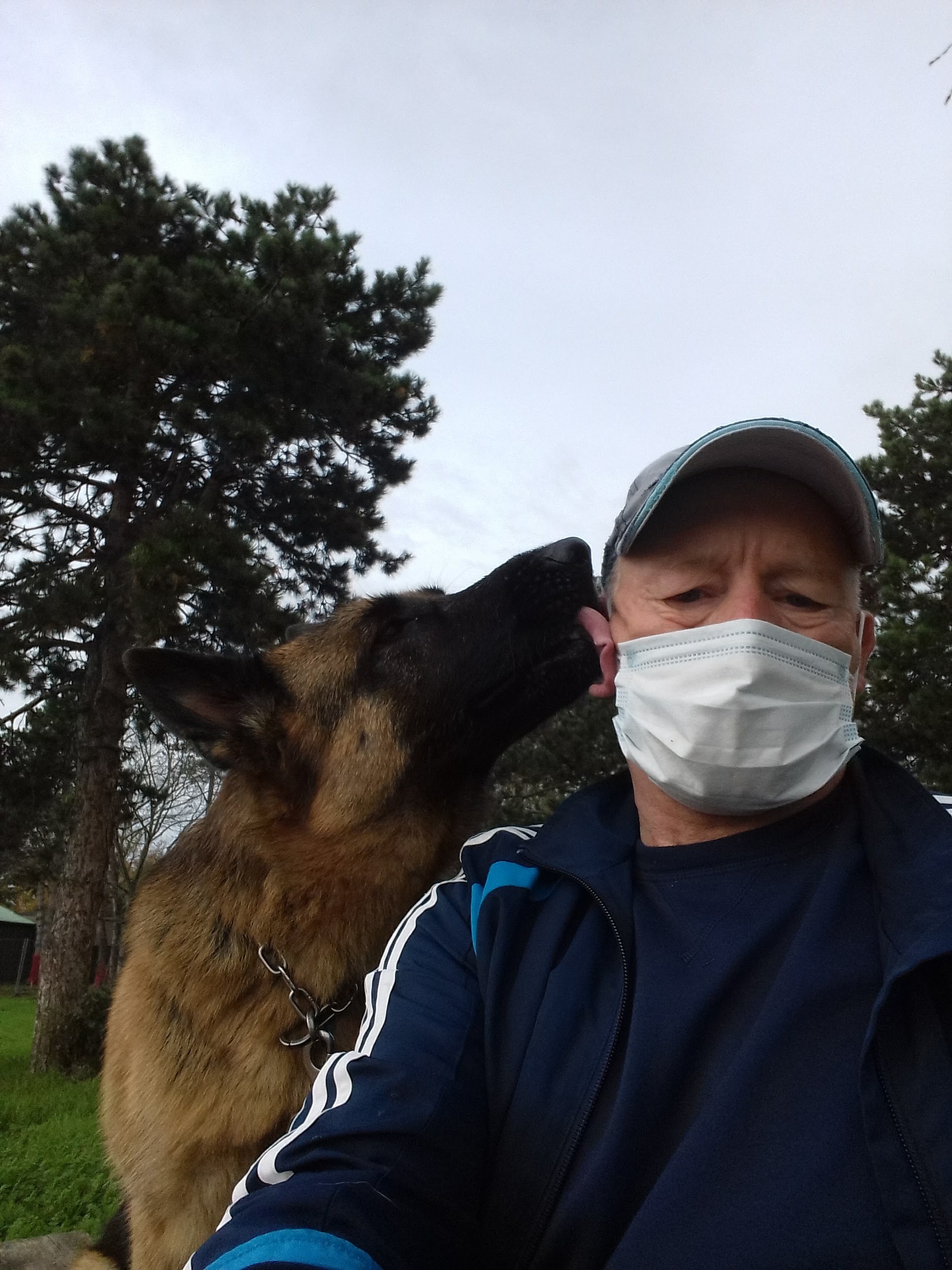 Photo n° 1 de l'avis de Pierre.u fait le 23/03/2021 à 19:11