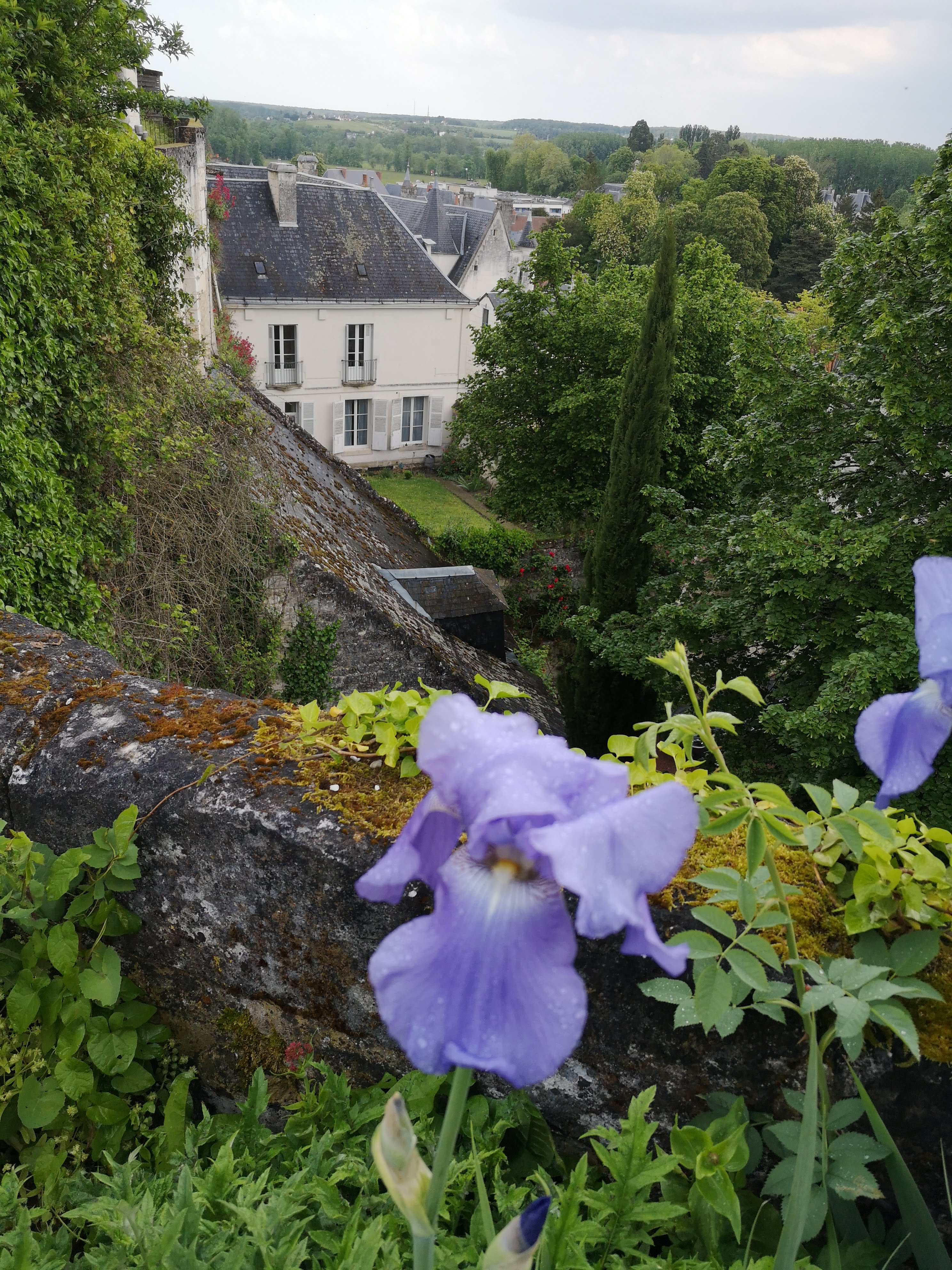 Photo n° 5 de l'avis de Lydie.u fait le 15/05/2023 à 09:05