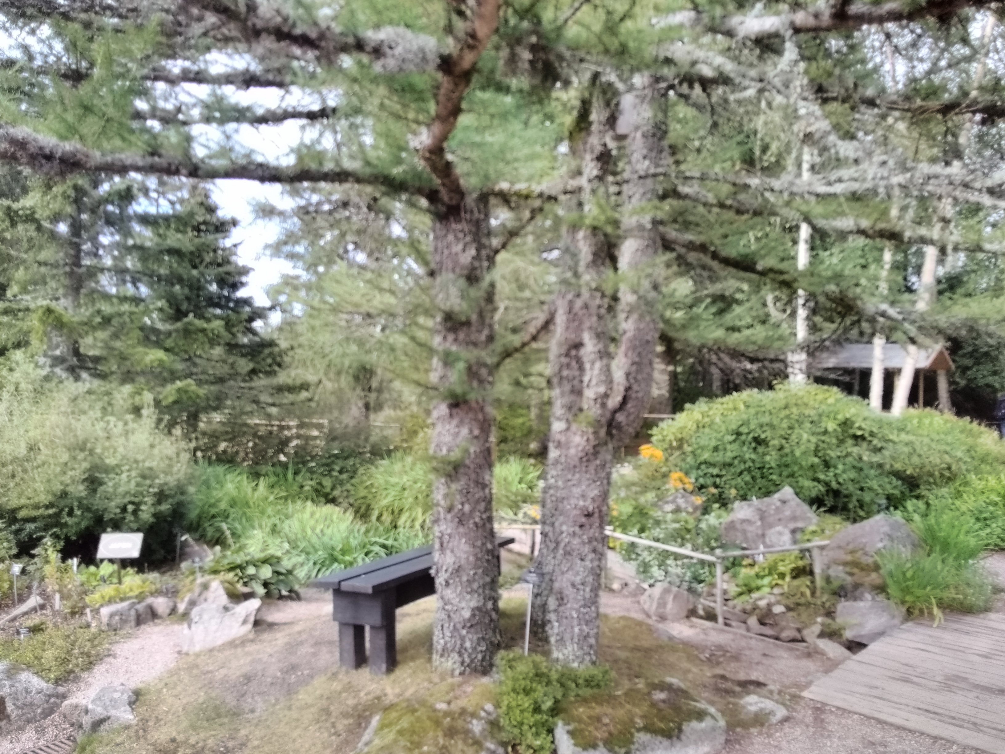 Photo n° 1 de l'avis de Christian.i fait le 29/08/2020 à 18:44