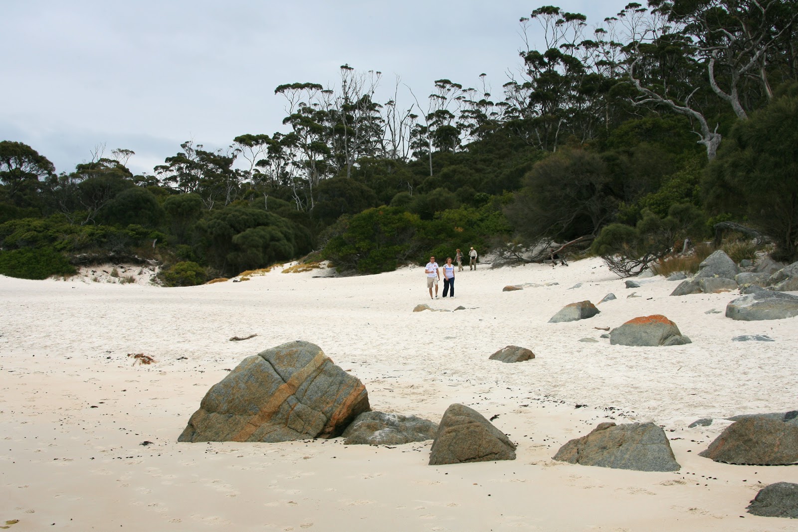 Foto di Wineglass Bay Beach sorretto da scogliere