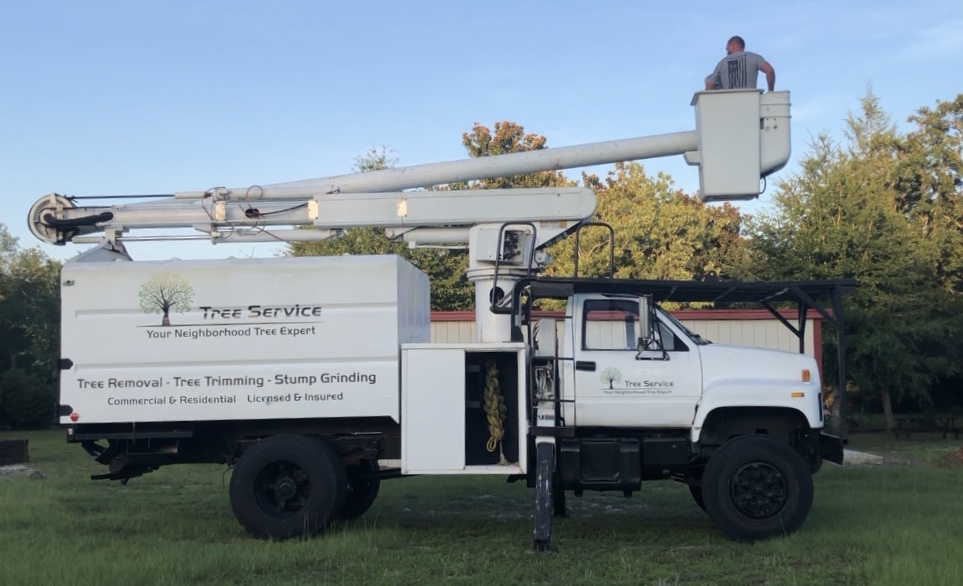 Stick Man Tree Service — photo 1