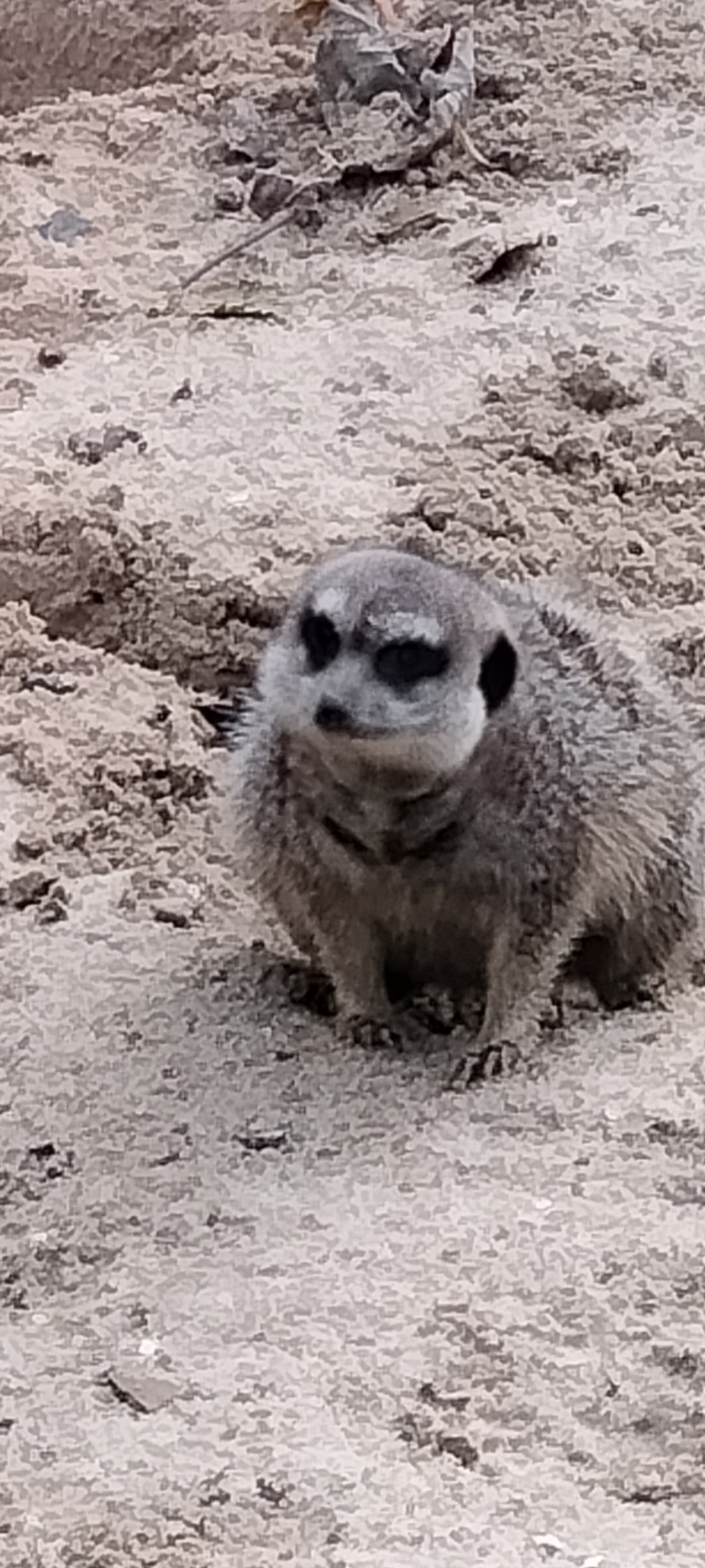 Photo n° 7 de l'avis de Sylvie.U fait le 07/11/2022 à 08:33