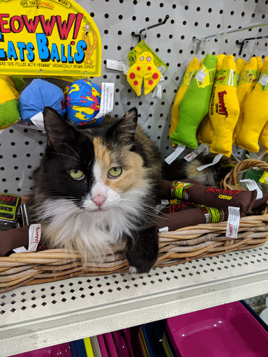 Pet Supply Store «T&T Pet Food & Supply», reviews and photos, 2375 S Walnut St, Bloomington, IN 47401, USA
