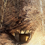 Photo n°3 de l'avis de Renate.o fait le 03/07/2021 à 11:58 sur le  Gasthaus Zum Bären à Oppurg