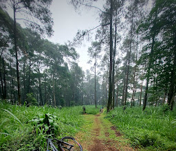 Pacet Bike Park photo