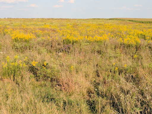 Nature Preserve «Prairie Bluff Preserve», reviews and photos, 20205 W Renwick Rd, Crest Hill, IL 60403, USA