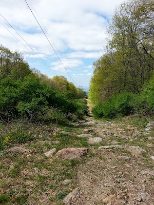 Wildlands Conservancy South Mountain Preserve - photo 33