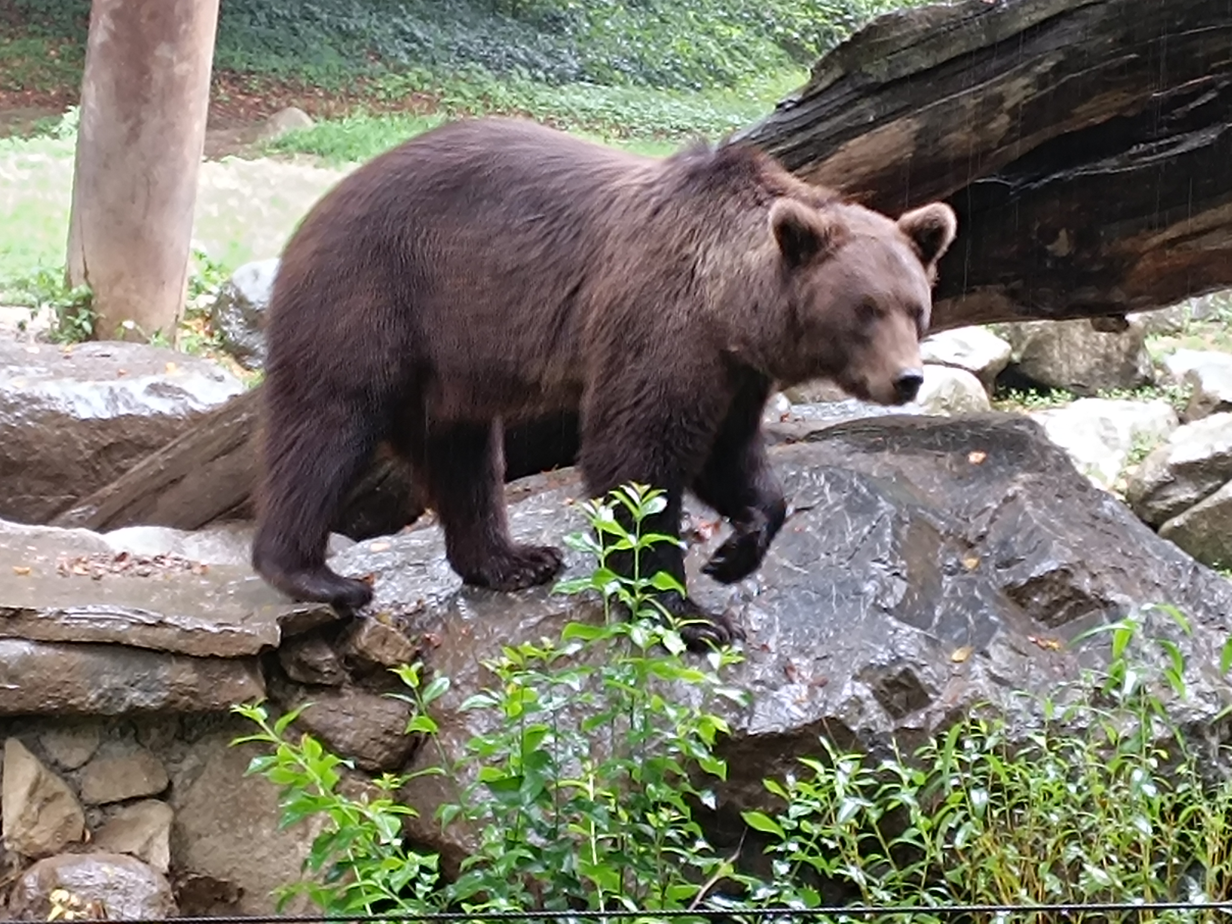 Photo n° 5 de l'avis de David.o fait le 10/09/2023 à 17:07