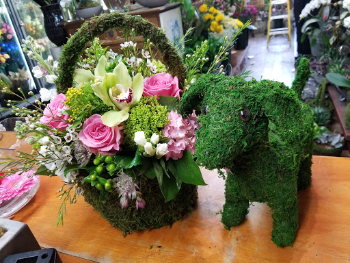 Florist «Fairfield Florist», reviews and photos, 1998 Post Rd, Fairfield, CT 06824, USA